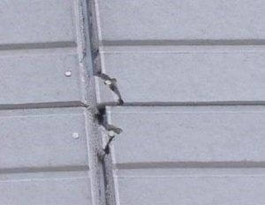 外壁のひび割れ