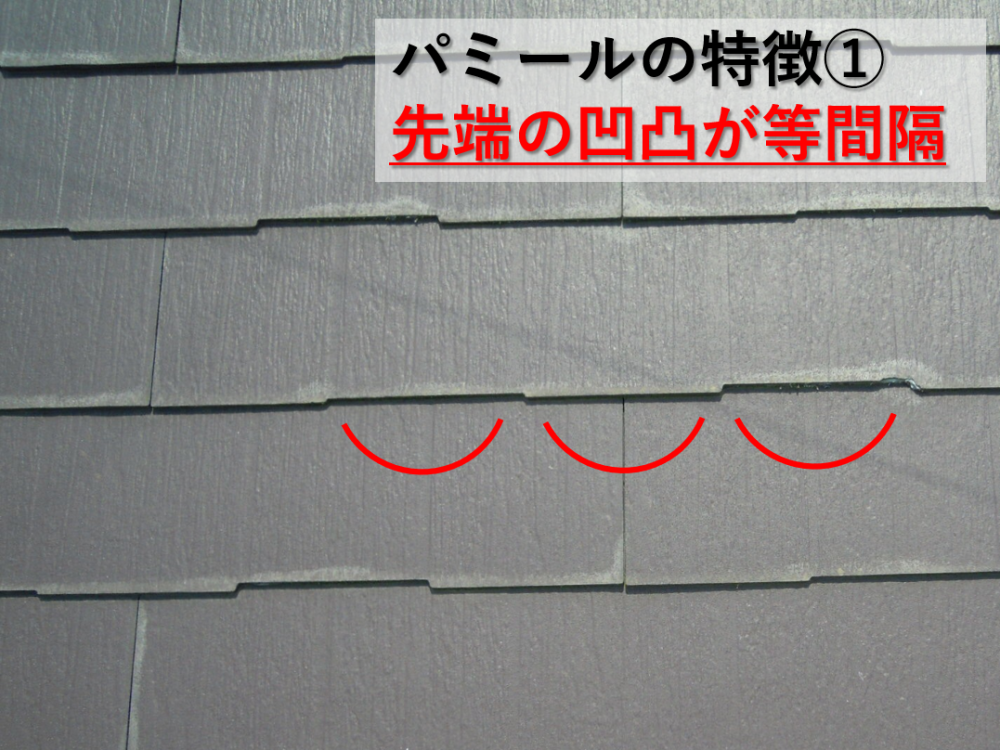 パミールの見分け方1