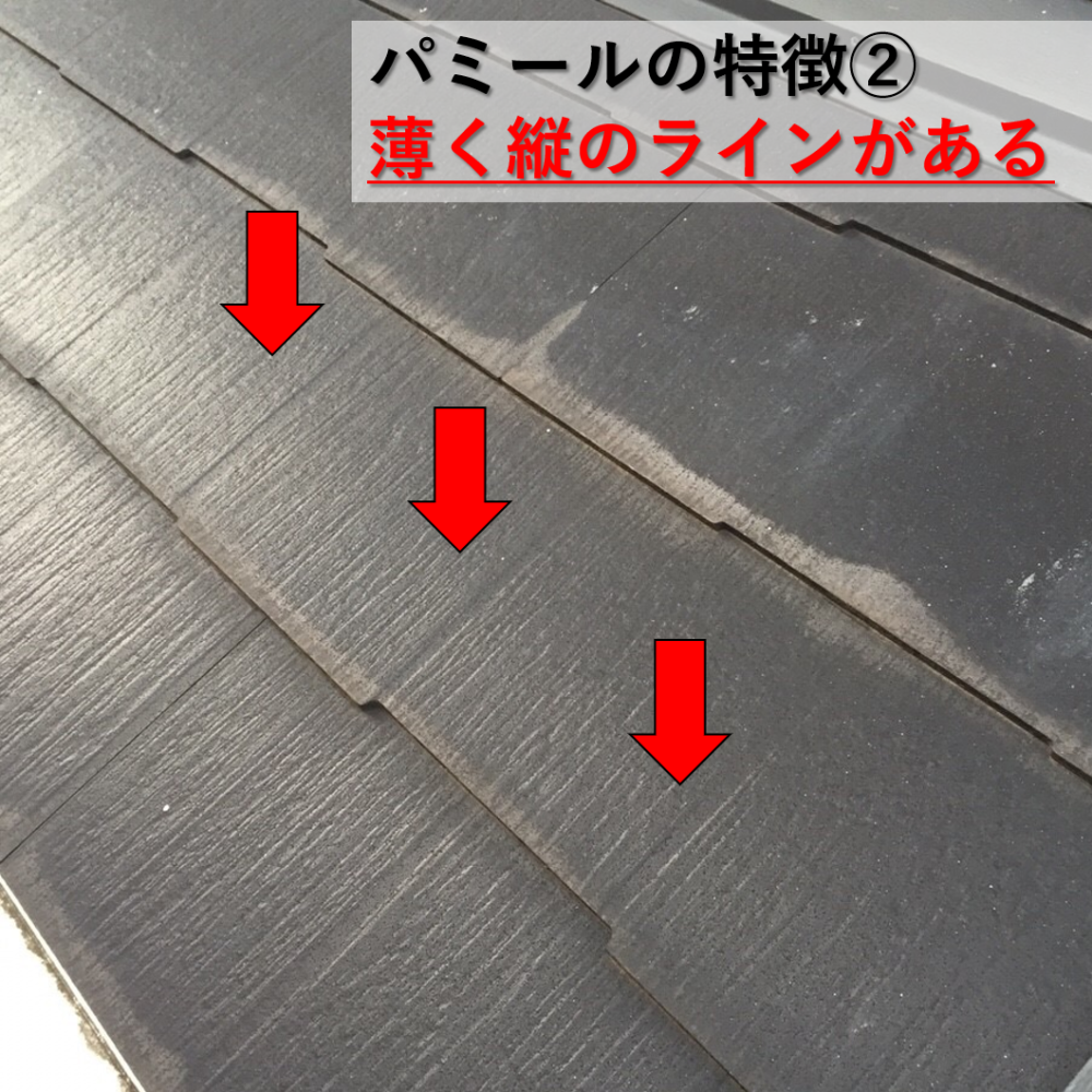 パミールの見分け方2