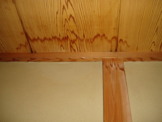 天井の染み, 雨漏り