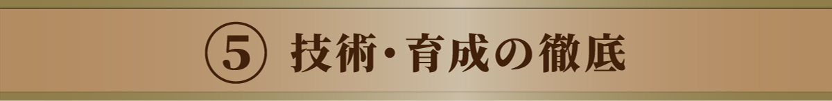 技術と感性を育てる充実した研修制度