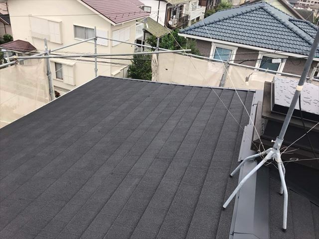 コメントテキスト