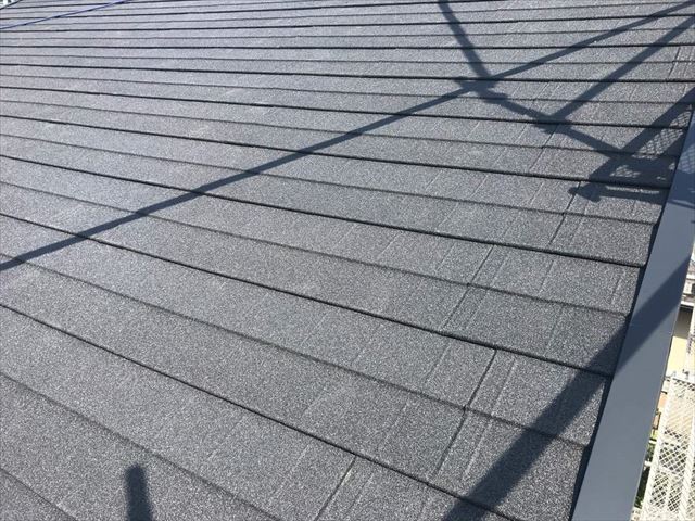 コメントテキスト