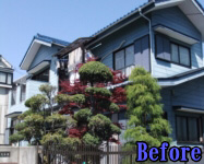 Before
