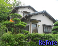 Before