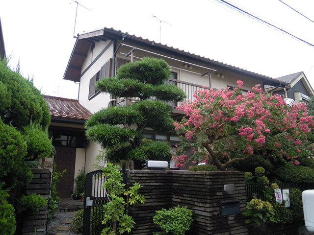 Before